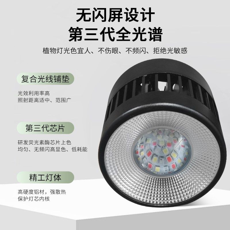 全光谱聚光透镜LD多肉补光灯上色防徒生长仿太阳补光灯,家装灯饰光源,植物生长灯,淘宝优惠券,粉丝福利购,淘宝优惠卷