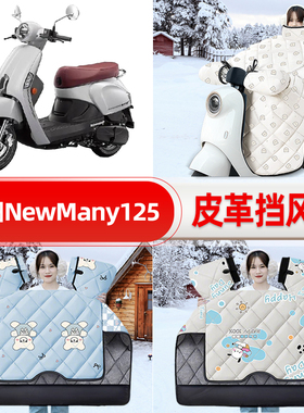 适用光阳NewMany125踏板摩托车挡风被25新款冬挡风罩防雨装饰配件