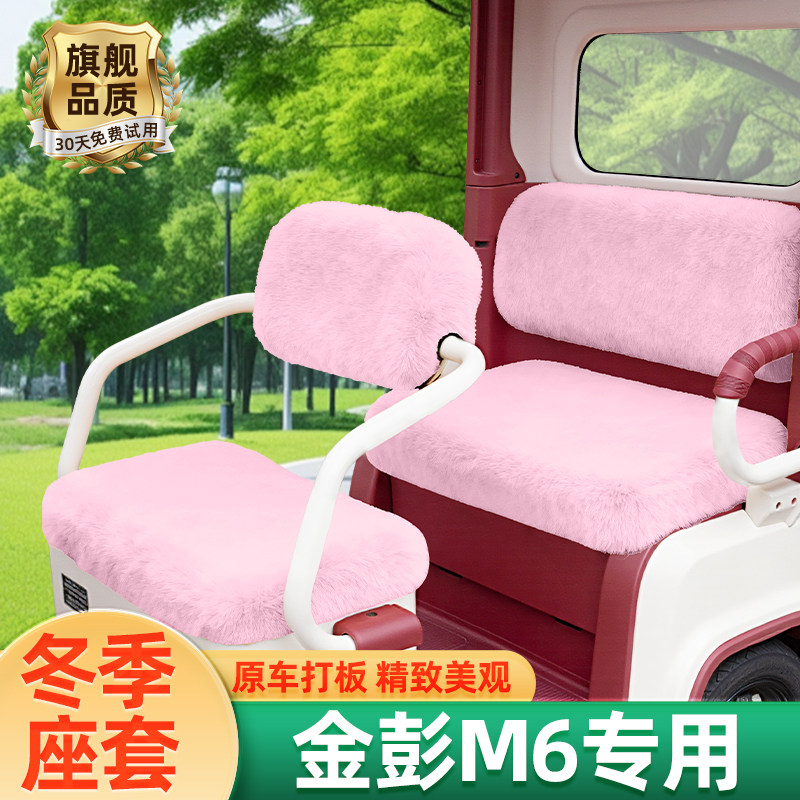 金彭M6电动车三轮车冬季座套坐垫套脚垫地垫厚款全包装饰配件大全