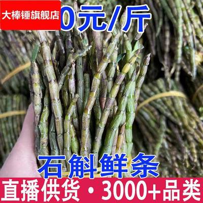 铁皮石斛鲜条 石斛鲜条 霍山石斛鲜条 云南石斛鲜条产地货源