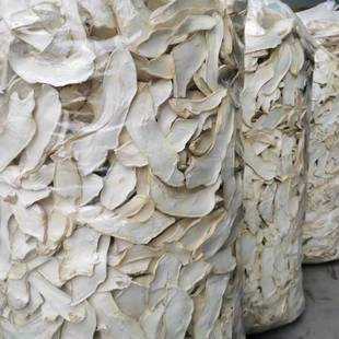 量大 500散装 厂地直发古田杏鲍菇 食用菌干货大片肉厚杏鲍菇