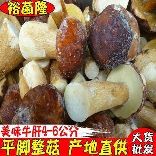 6公分酒店火锅店牛肝菌野生 美味牛肝菌冻品平脚整菇4