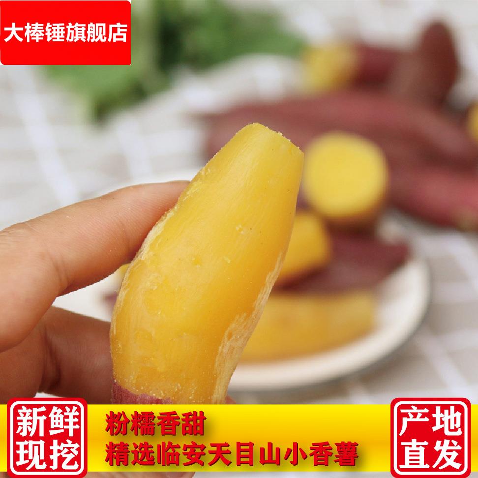 临安天目山小香薯5斤板栗红薯拇指番薯地瓜迷你小山芋新鲜