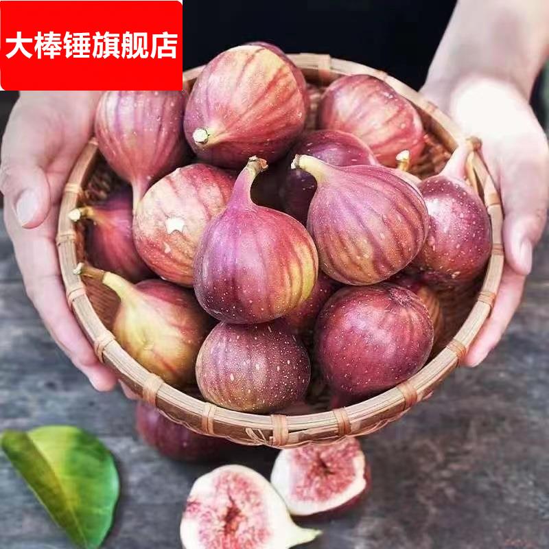 【新鲜采摘】云南红皮无花果5斤当季软糯水果新鲜现摘孕妇鲜果s