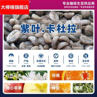 卡杜拉咖啡生豆 云南紫叶卡杜拉小粒咖啡 普洱水洗精品咖啡豆