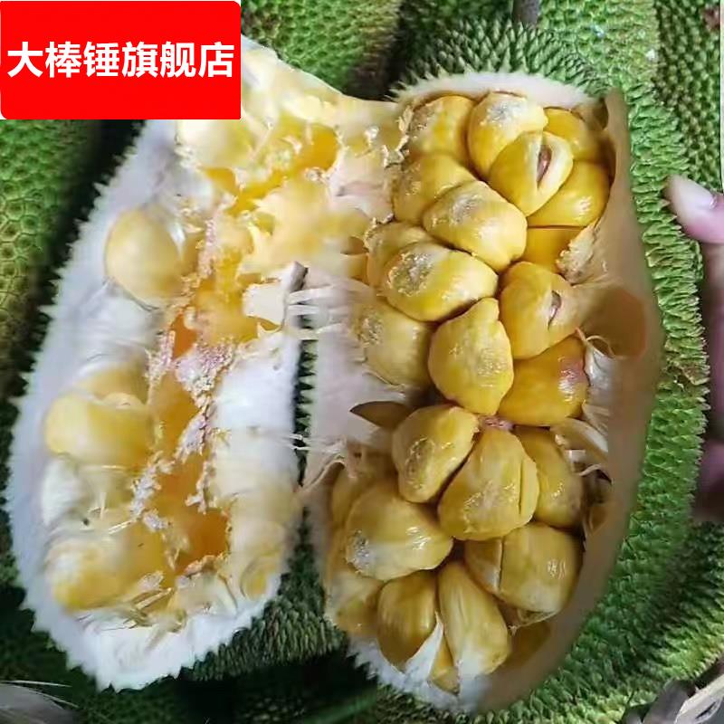 榴莲蜜海南直发巴掌小个榴莲蜜湿苞菠萝蜜新鲜热带水果包邮