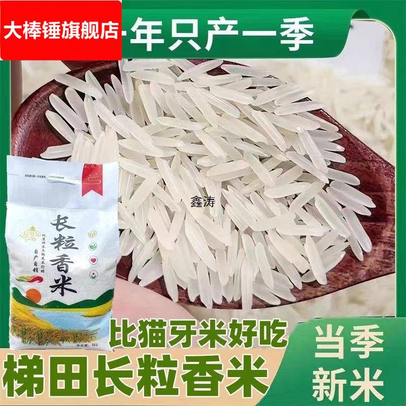 新米贵州梯田长粒香米晚稻农家米自种软米长粒香米细粒长米10斤