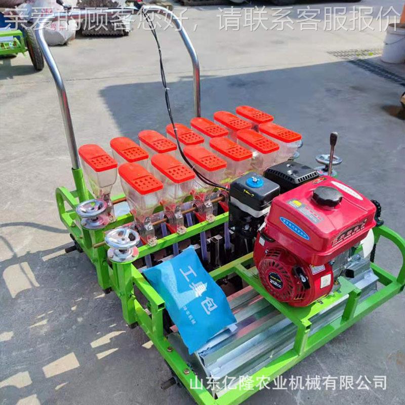 小白菜菠菜茼蒿播种播机 香油菜香点菜播机 YL-BZJ萝卜榨茴菜大头