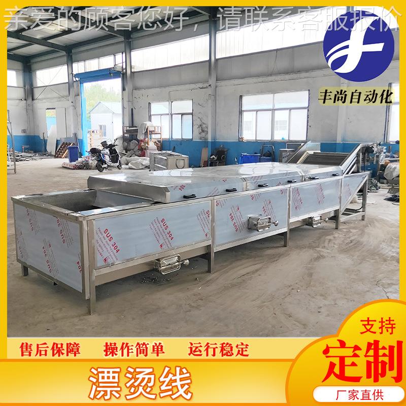 丰绿供尚应连续式蔬流菜水线白菜漂烫机叶蔬菜漂烫流水作业线FS-P