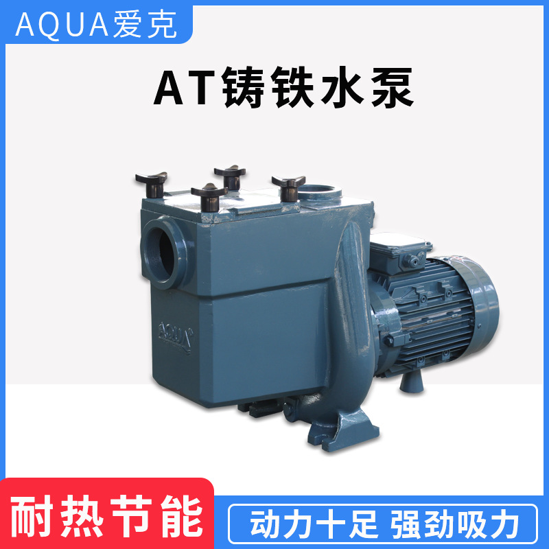 AQUA爱克铸铁水泵游泳池循环泵过滤增压防水带高温泳池设备AT系列