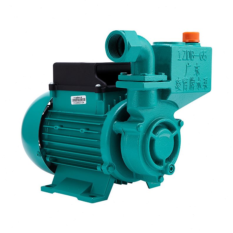 广东凌霄水泵1ZDB35家用自来水压泵扬程220V抽水机清水自吸泵