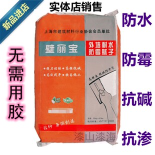 壁丽宝外墙防水防霉防裂腻子粉 补缝膏 修复墙面破损起皮 原子灰