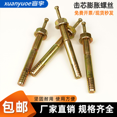 举升机专用膨胀螺丝汽车龙门升降机地脚固定螺栓一钉得击芯膨胀钉