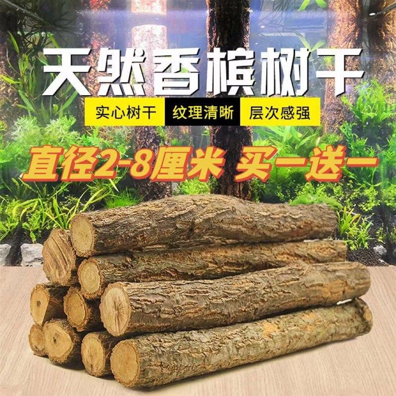 原木树枝树干水草缸森林造景香槟木树干树桩雨淋缸爬宠缸装饰躲避,宠物/宠物食品及用品,造景/装饰,淘宝优惠券,粉丝福利购,淘宝优惠卷