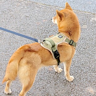 柴犬狗狗牵引绳子夜间反光中大型犬防爆冲小狗防挣脱背心式胸背带