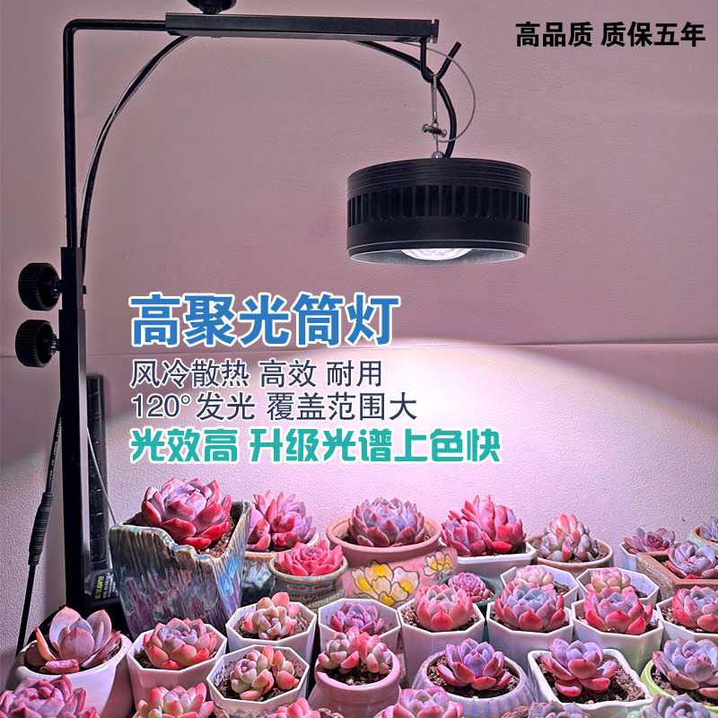 led全光谱多肉补光灯植物生长家用上色防徒绿植仿太阳光聚光筒灯