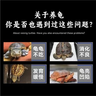 龟星人龟粮水龟半水龟幼龟成龟基础粮补钙固甲爱吃通用乌龟饲料
