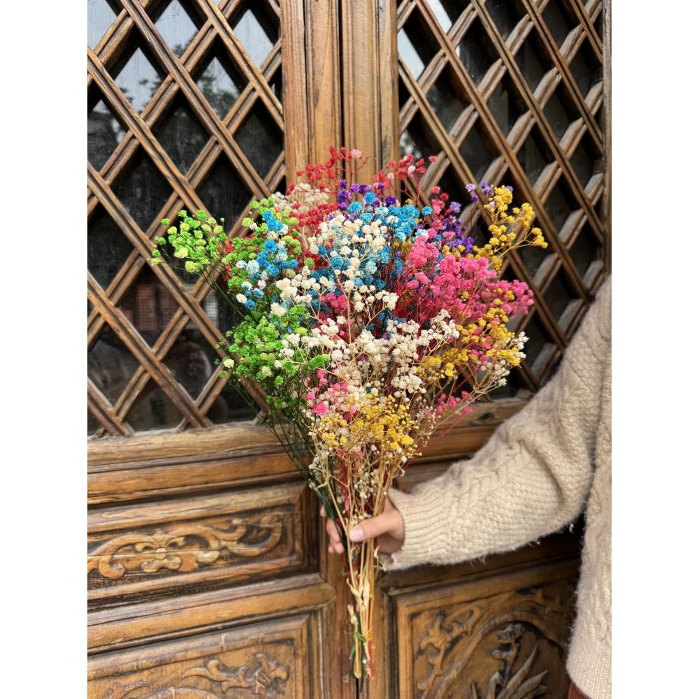 天然真花Gypsophila干花束家庭装饰小清新摆件现场装饰插花照片插