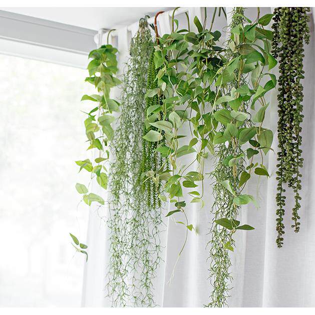 北欧INS精品彷真植物假花藤条黄金葛吊兰装饰墙壁挂花吊篮挂藤包