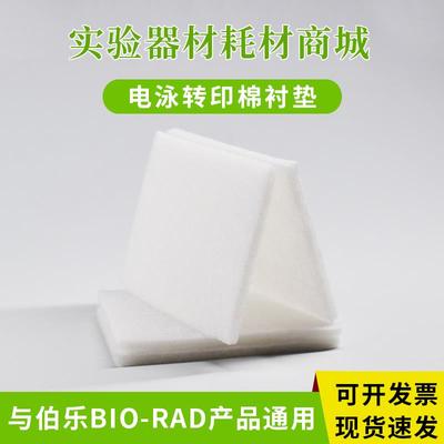 Western blot适配伯乐湿转转印海绵垫转印棉衬垫 Foam Pad多孔垫