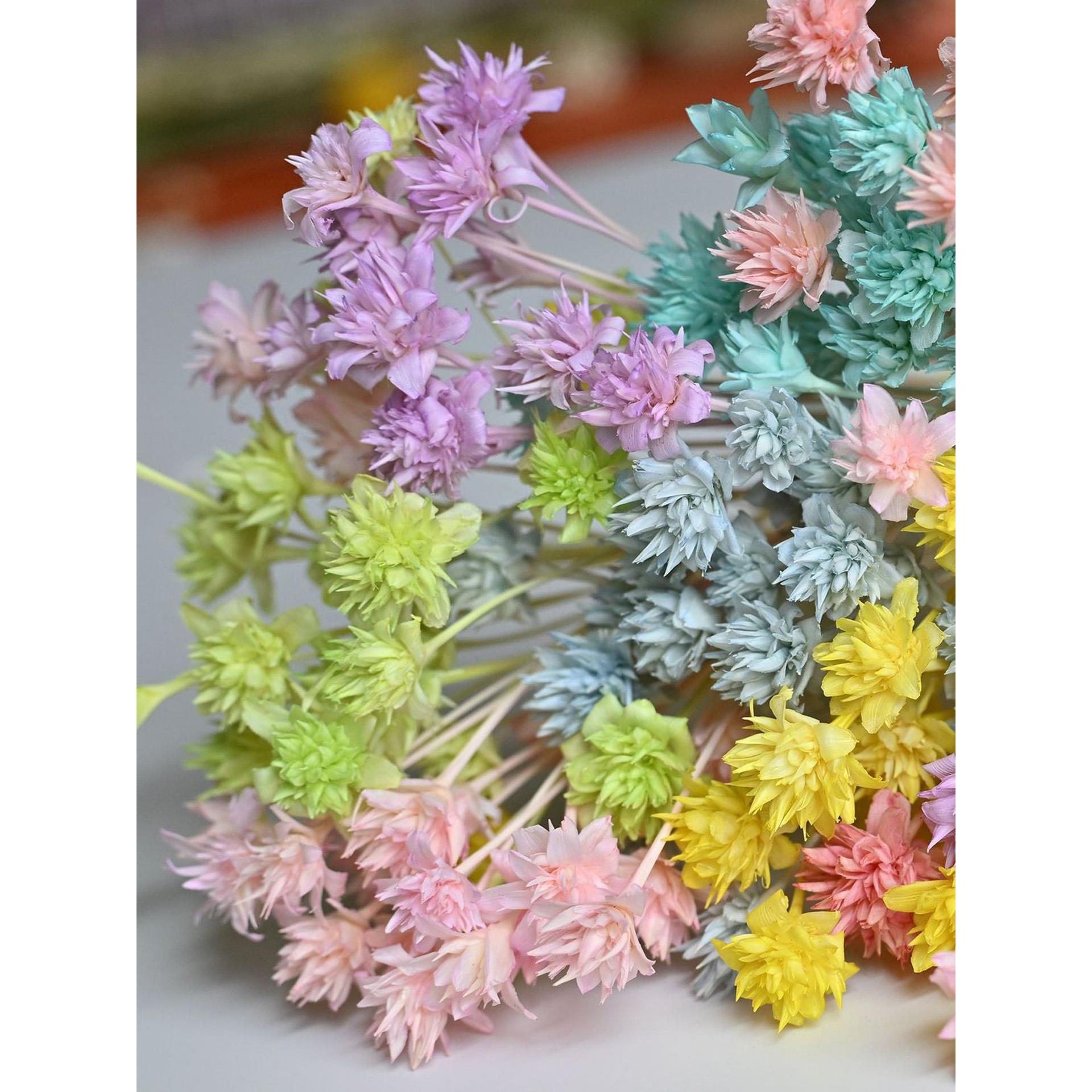 浅色系小山花巴西干花包小雏菊家居手工材料永生花戒指手工材料花