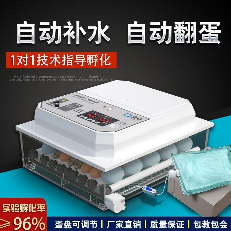 小型全自动孵化器鸡蛋孵化孵蛋器抱鸡器