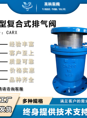 复合式排气阀全自动304不锈钢法兰耐腐蚀双向国标新型快速CARX-16