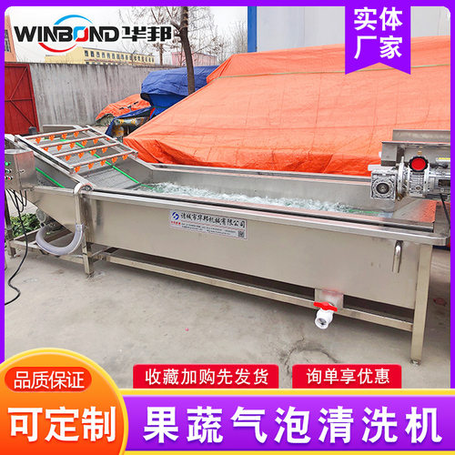 喷淋式菠菜清洗机 不锈钢樱桃果蔬气泡清洗机 油菜清洗流水线