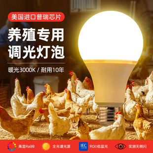 暖光灯泡无极调光e27螺口养殖场专用照明灯鸡舍护眼补光节能灯泡