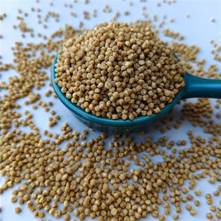 百灵鸟食饲料云雀鸟粮