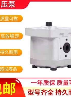 CBW-F308-ALPL齿轮油泵CBW-F304-ALPL CBW-F306-CFPL