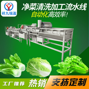 菜椒清洗机酸菜红椒清洗设备青椒清洗机 辣椒酱制作流水线设备