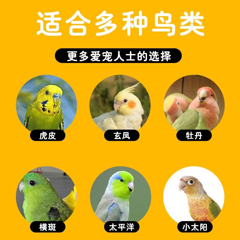 虎皮鹦鹉鸟笼大号牡丹鸟笼子鹦鹉笼家用通用电镀玄凤豪华别墅铁艺,宠物/宠物食品及用品,鸟笼,淘宝优惠券,粉丝福利购,淘宝优惠卷