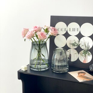 轻奢矮胖玻璃花瓶透明水养玫瑰插花器高级感装饰门店客厅摆件网红