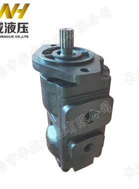 齿轮泵 20/912800  20/925339 20/925588 20/925356