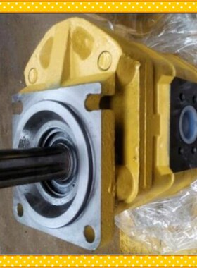 CBGj2080B齿轮泵 徐工工作泵 物料号:803006659