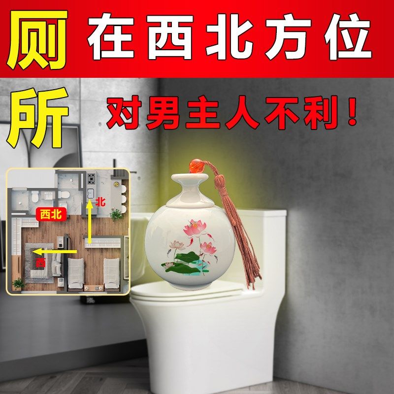 避水兽厕所在西北角水淹天门化解厨卫同宫净秽瓶,家居饰品,国学摆件,淘宝优惠券,粉丝福利购,淘宝优惠卷