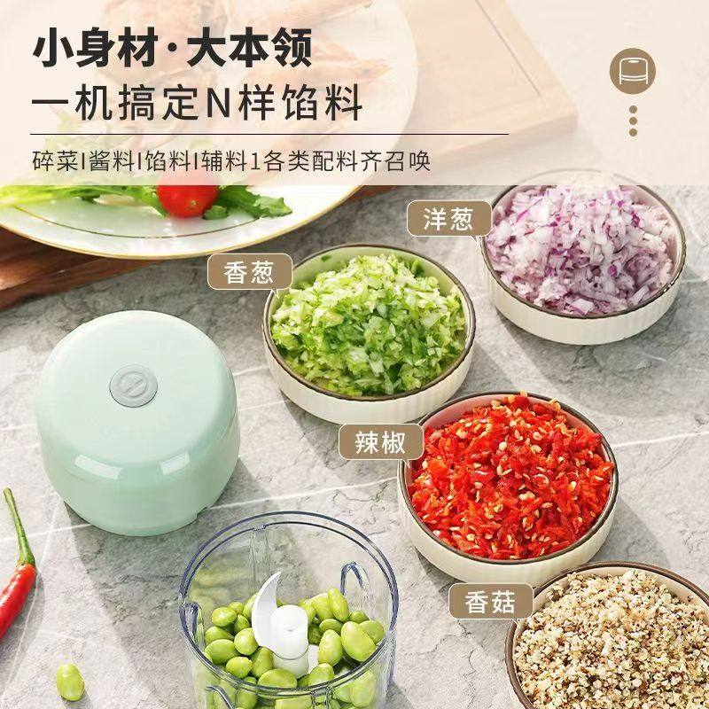 龙邦打蒜器蒜蓉捣蒜家用充电蒜泥,厨房电器,电动辅食料理棒,淘宝优惠券,粉丝福利购,淘宝优惠卷