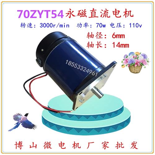 70ZYT54 110V直流电机 70W 3000转/分 电流0.95A博山微电机现货