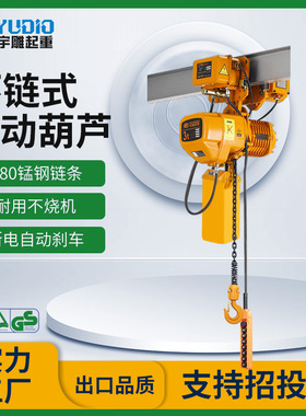 宇雕定制380v环链电动葫芦220伏带跑车运行式1T2t3t5t10吨起重小