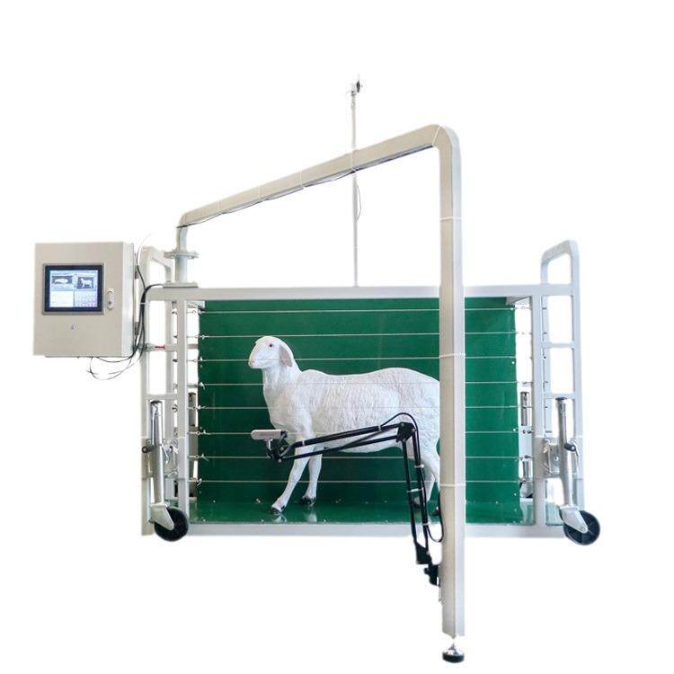 牛羊体尺数据自动测量设备AI模型深度相机高精准无接触测量自动化