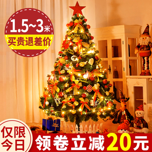 高级感圣诞节装 圣诞树家用套餐加密diys发光大型摆件2022新款 饰品