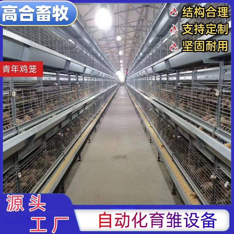 自动化层叠青年鸡鸡笼H型立式养殖设备养殖场用鸽子笼厂家