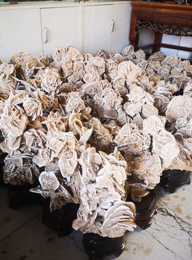 精品沙漠玫瑰原石摆件矿物晶体奇石观赏石原石自然石画面石收藏