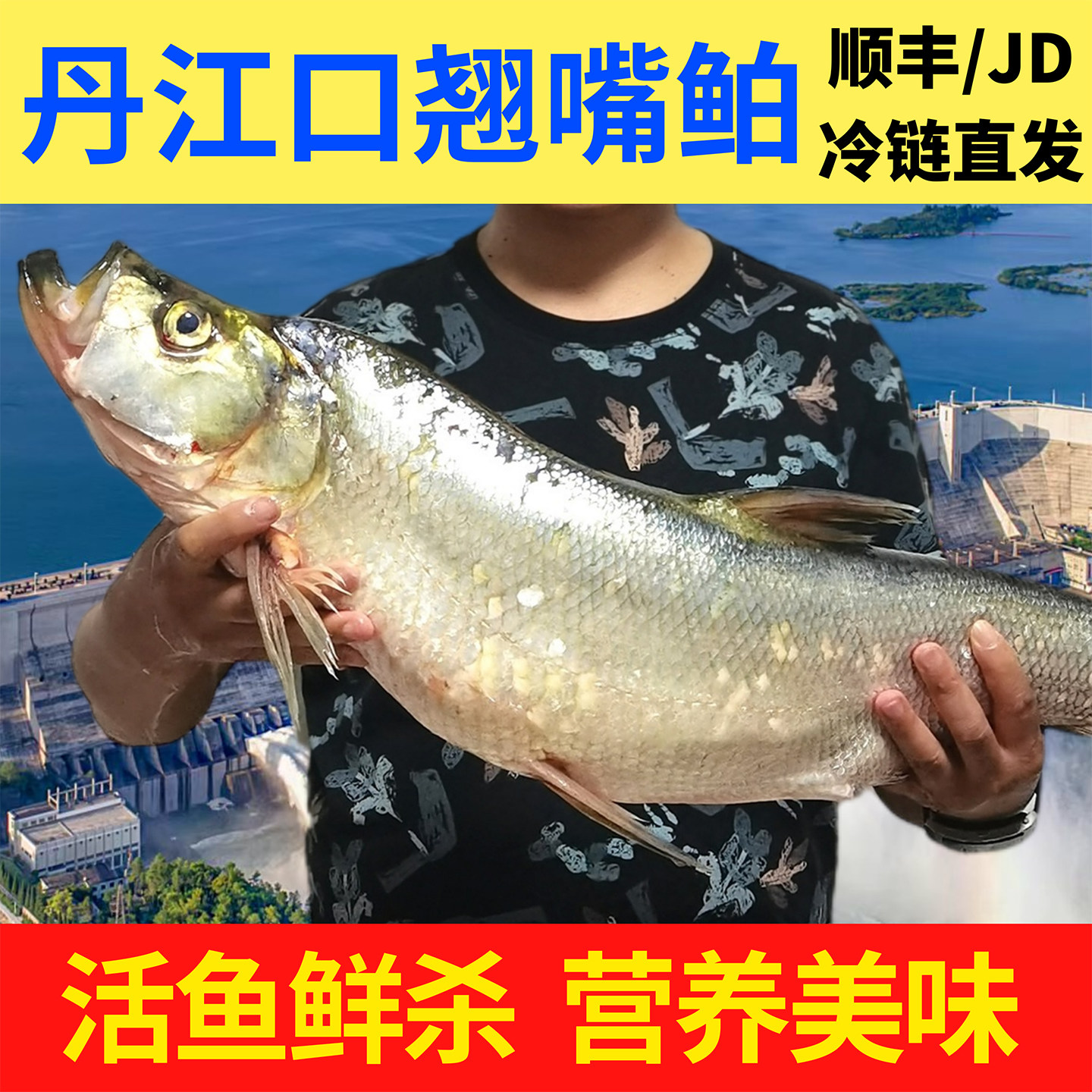 米翘水都丹江口翘嘴鲌冰鲜淡水鱼翘嘴巴白鱼大白刁子鱼送礼大鱼,水产肉类/新鲜蔬果/熟食,淡水鱼类,淘宝优惠券,粉丝福利购,淘宝优惠卷