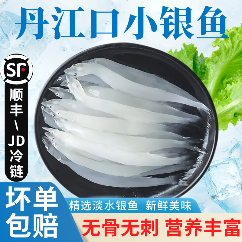 水都丹江口市银鱼淡水鱼鲜活速冻鱼类水产鲜冻面条鱼白饭鱼