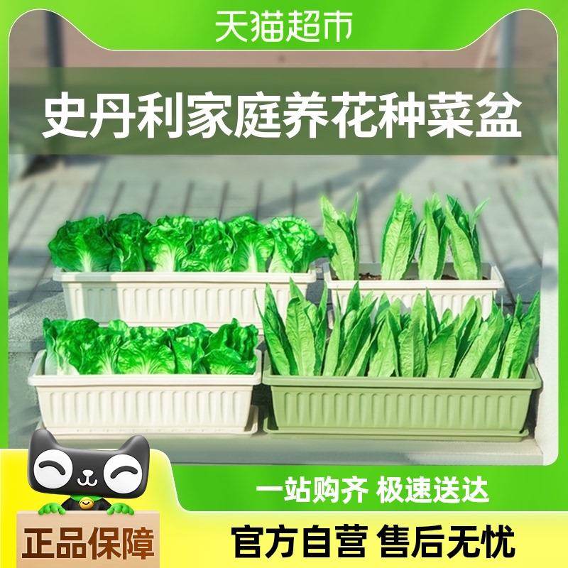 史丹利阳台种菜盆长方形花盆托盘家用室内特大号方形长条加厚耐用