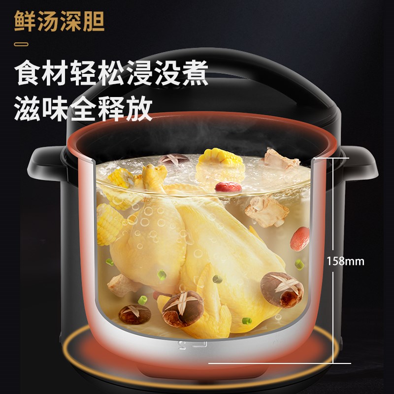半球电压力锅家用多功能5L胆大容量电高压锅小型电饭煲LLL