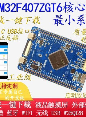 TM2FZGT最小系统板核心板发板学习板工控板启明欣欣
