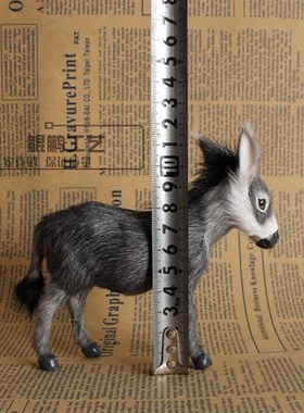 仿真小毛驴驴 灰驴 青山羊皮加工橱窗陈列品教学模具